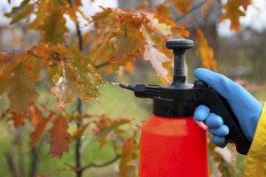 iStock_000011017070_Large